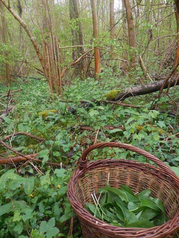 1744181256409blob (2) (1)