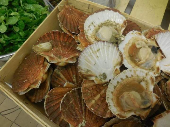 Fruit de mer Dijon